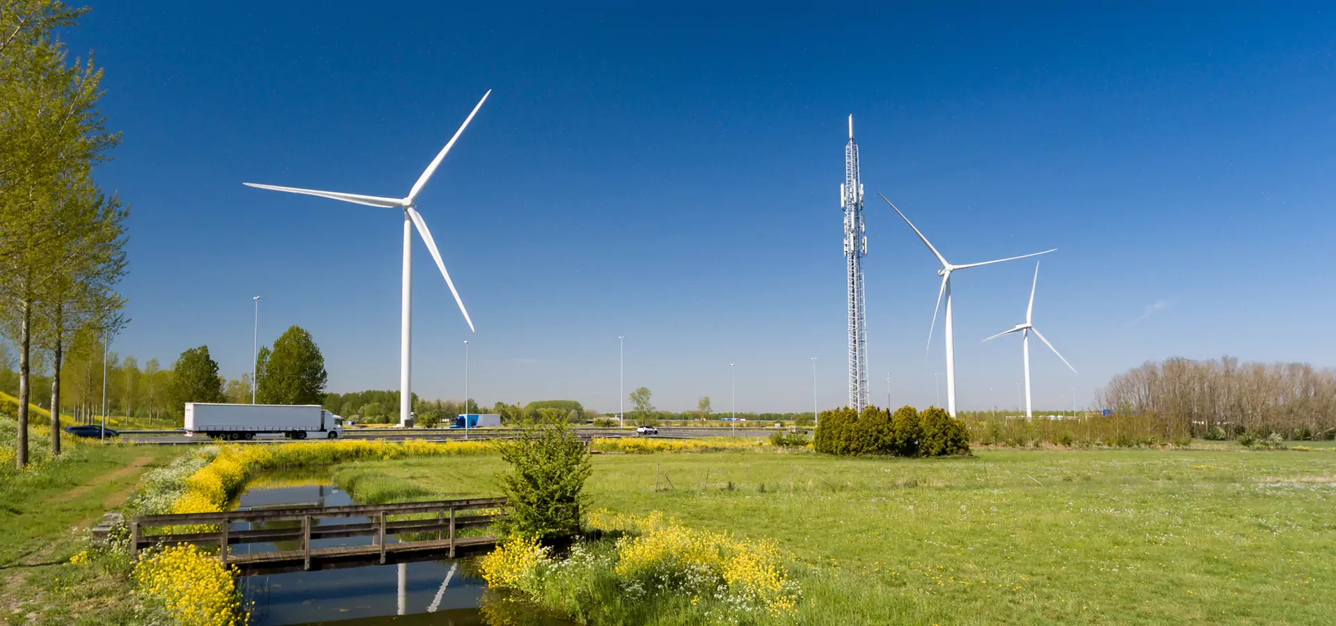 banner-servicio-medio-ambiente